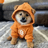 Dog (Bitcoin) icon